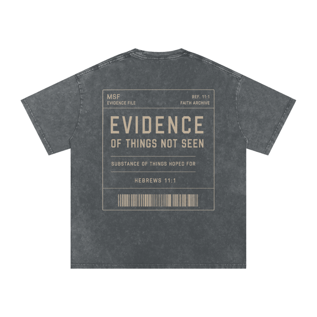 Hebrews 11:1 T-Shirt